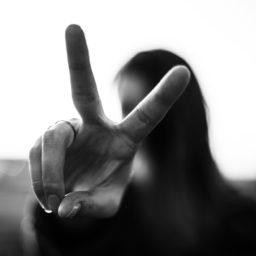 Puzzle Piece Peace