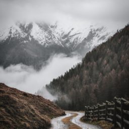 My Way